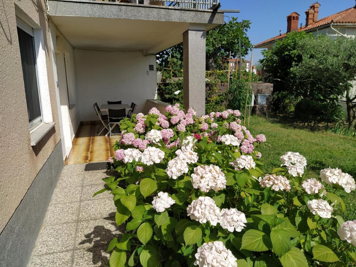 Apartments Buket Jagodje Экстерьер фото